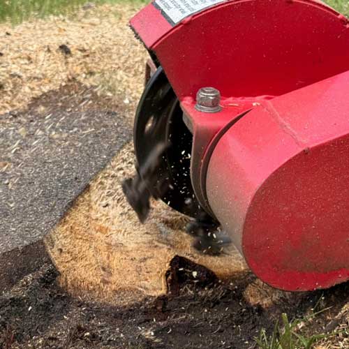 Kantojyrsintä pihassa Pirkanmaalla