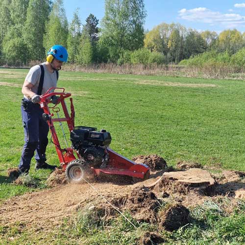 Kannon poisto tiiviistä pihasta