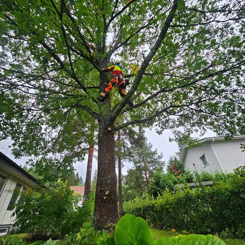 Kaatokiipeily ahtaassa pihassa Tampere