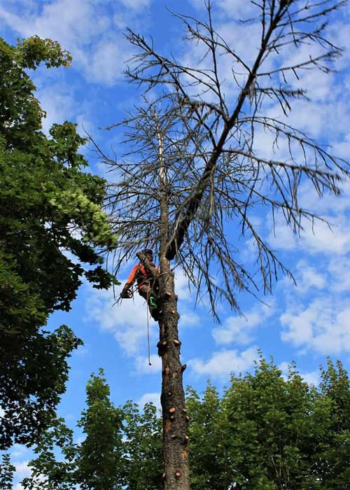 Kiipeilykaato kerrostalon vieressä