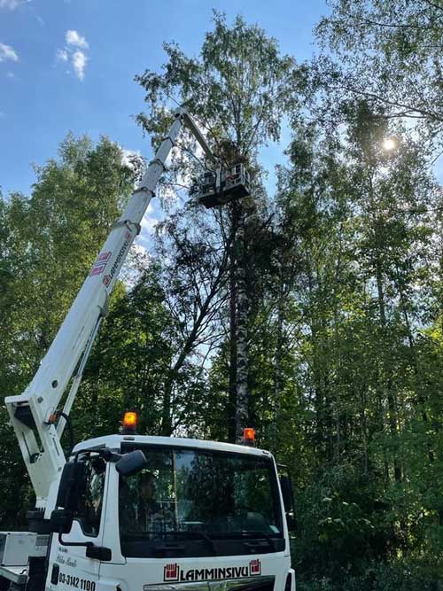 Nostintyö puunkaadossa